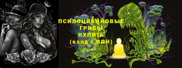 дживик Балахна