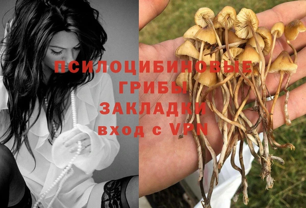 2c-b Покров