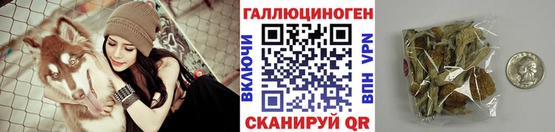 гидра ссылки  Соль-Илецк  Псилоцибиновые грибы мухоморы 